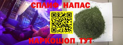 гашик Гусь-Хрустальный