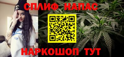 гашик Гусь-Хрустальный