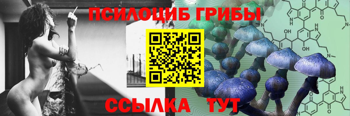 Галлюциногенные грибы мицелий Сорочинск